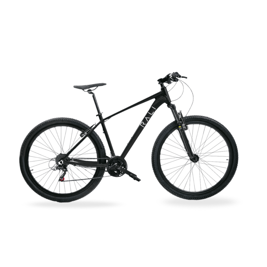 Bicicleta A1 MTB