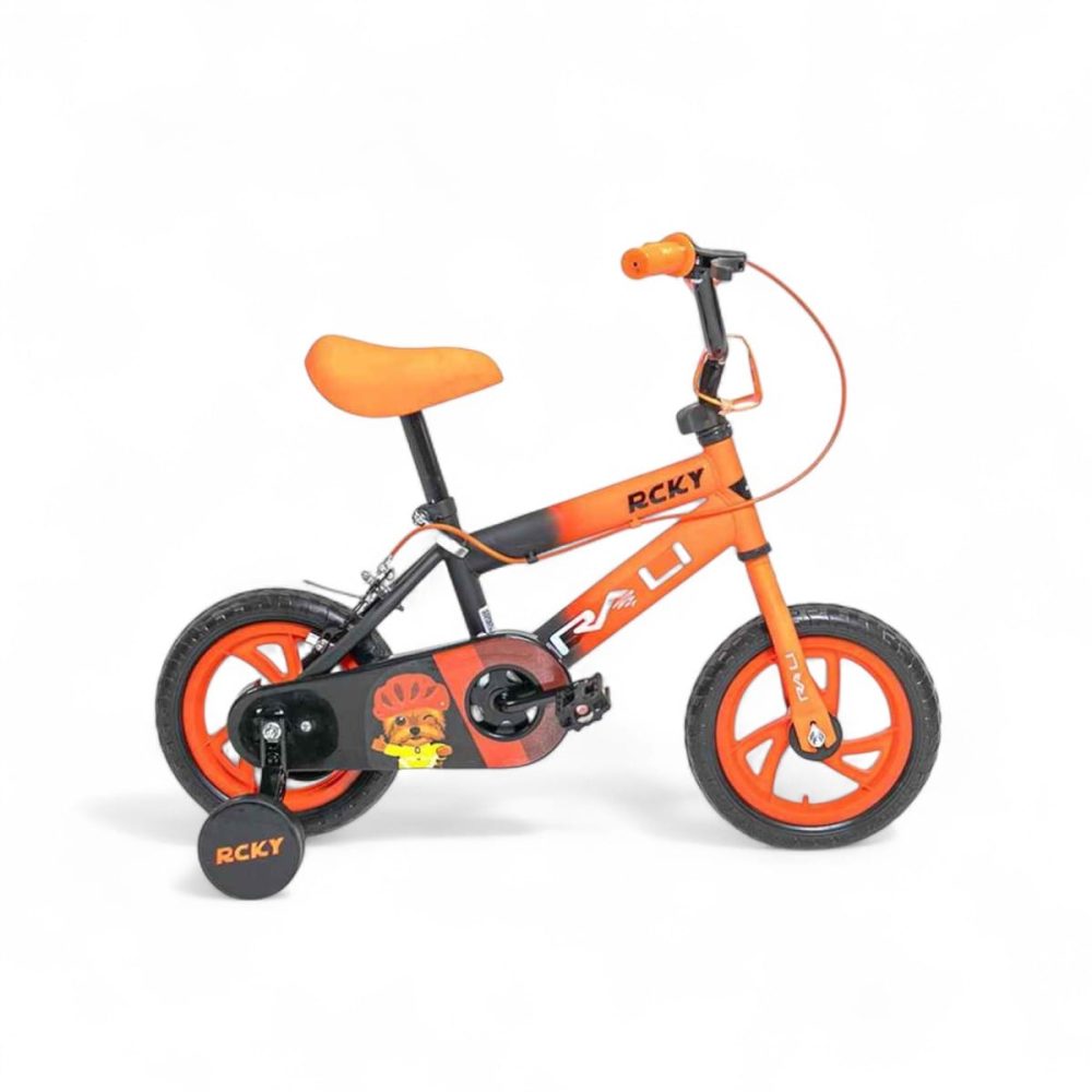 Bicicleta Rycky 12
