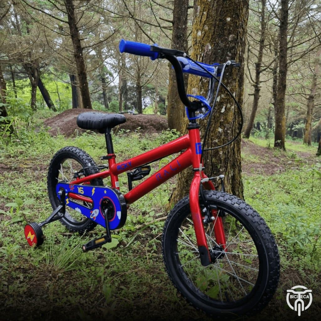 Bicicleta Rycky 16 - vista alternativa