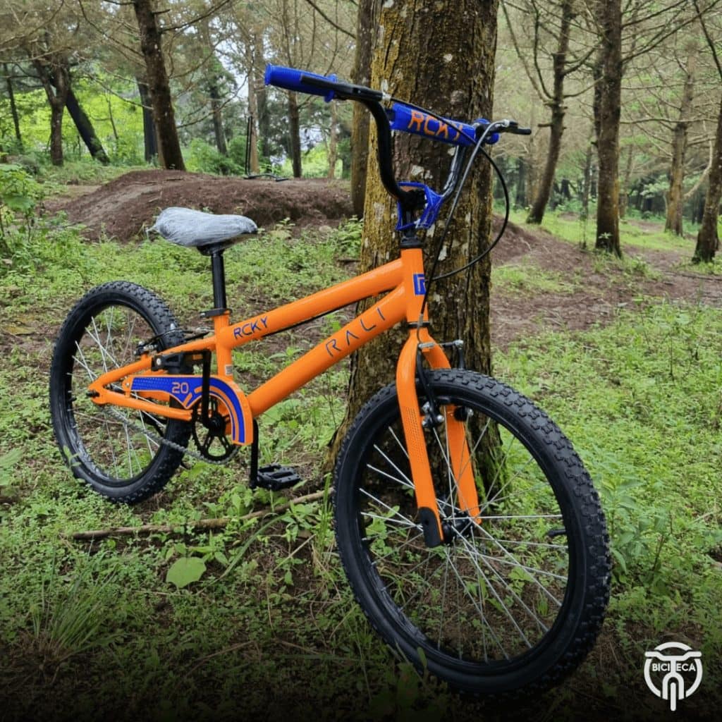Bicicleta Rycky 20 - vista alternativa