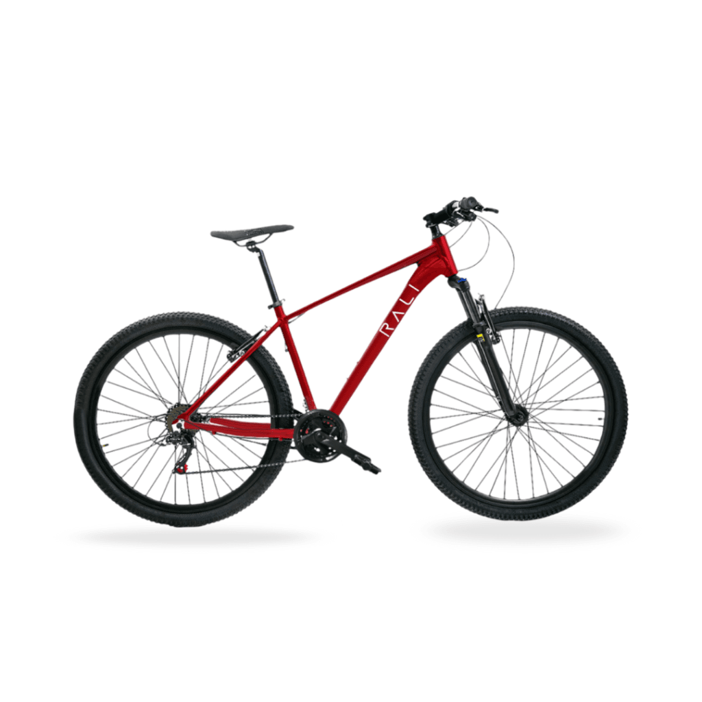 Bicicleta A1 MTB